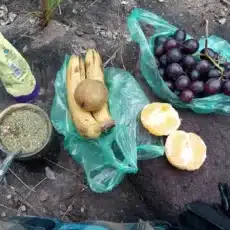 Bananen Weintrauben Paraguay